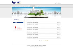 北京網站建設 原創先鋒，案例引領未來